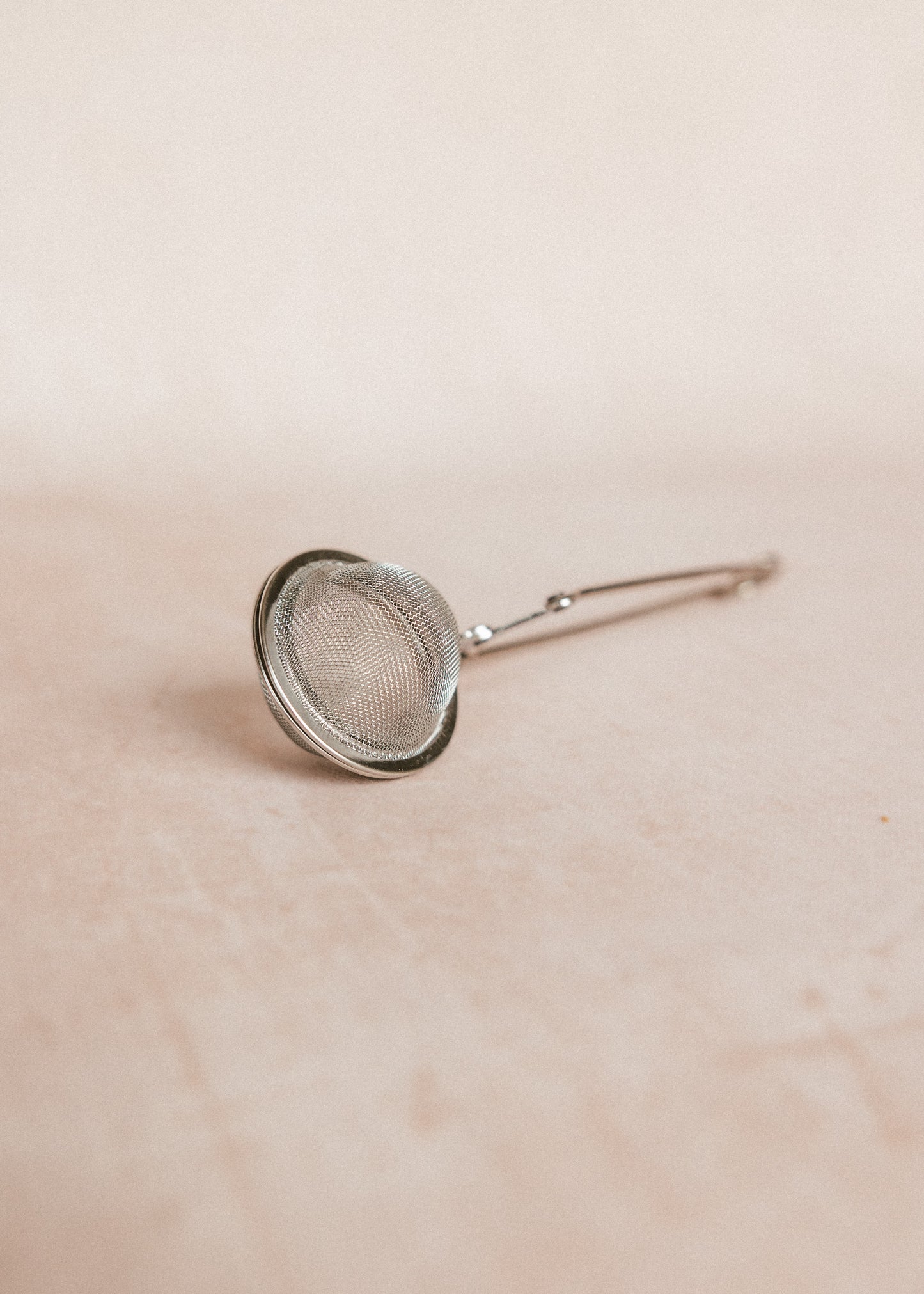 stainless steel tea strainer
