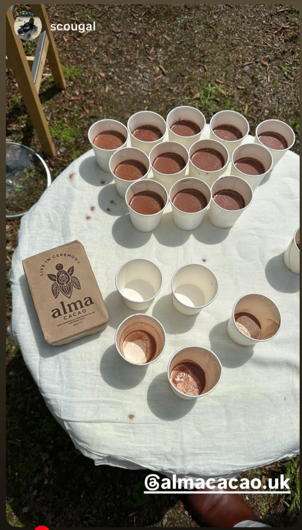 Table with small cups filled with cacao substance and a bar labeled 'alma cacao' on a white cloth. UGC Review